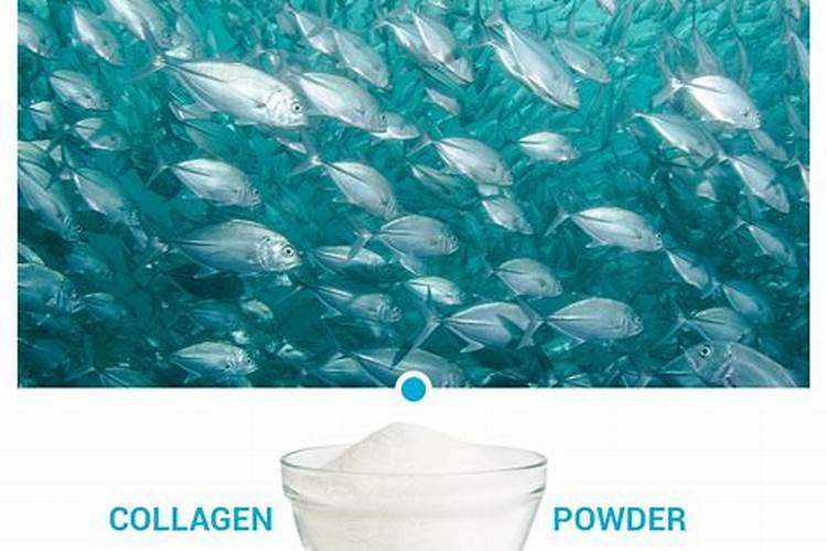 绣球花开败了要不要剪掉