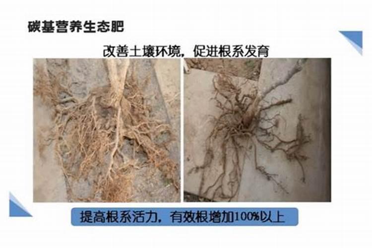 优质大量元素水溶肥怎么选？使用妙招有哪些？