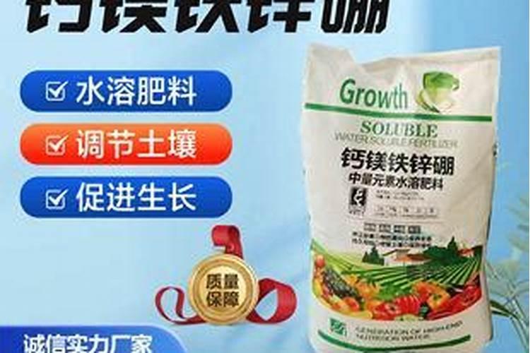 海葡萄能直接吃吗
