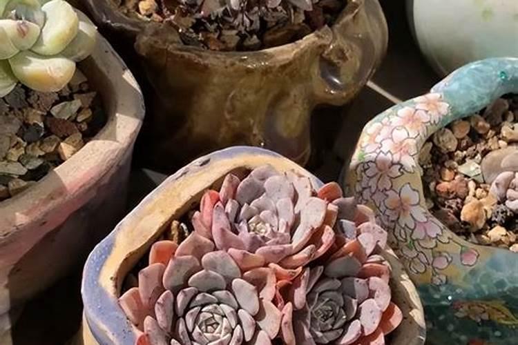 磷肥怎样使用才是正确