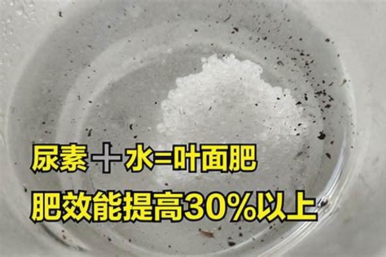1斤尿素兑水多少斤 把尿素当叶面肥喷施使用如何配制