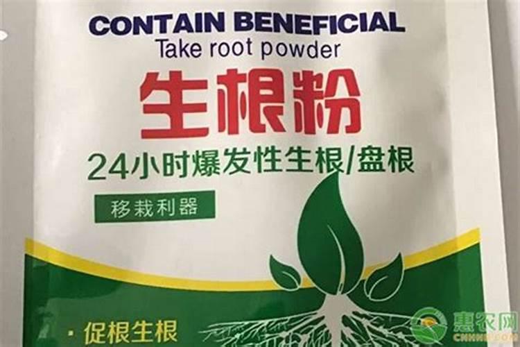 生根用什么肥
