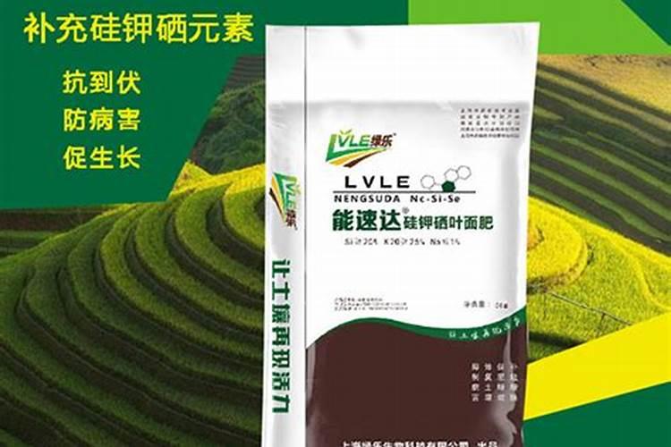 北京雷邦斯产品怎么样