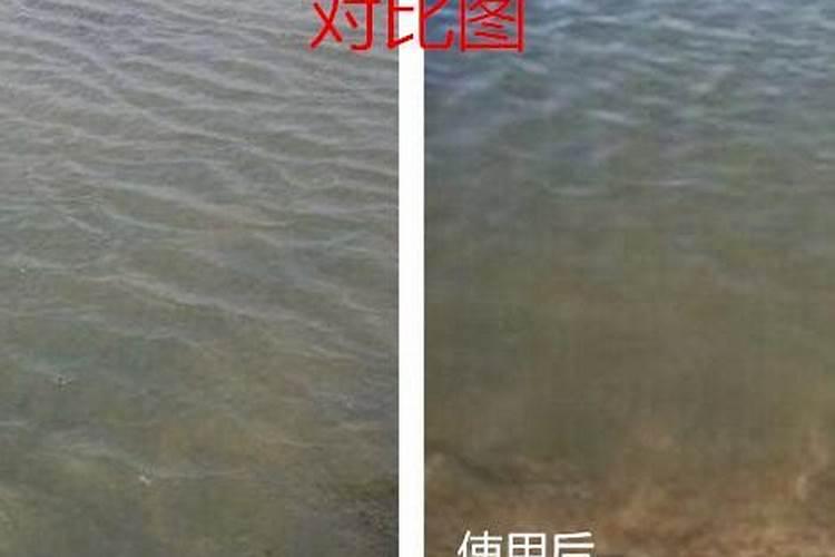 盆栽空根怎样快生根 盆栽空根快生根的方法
