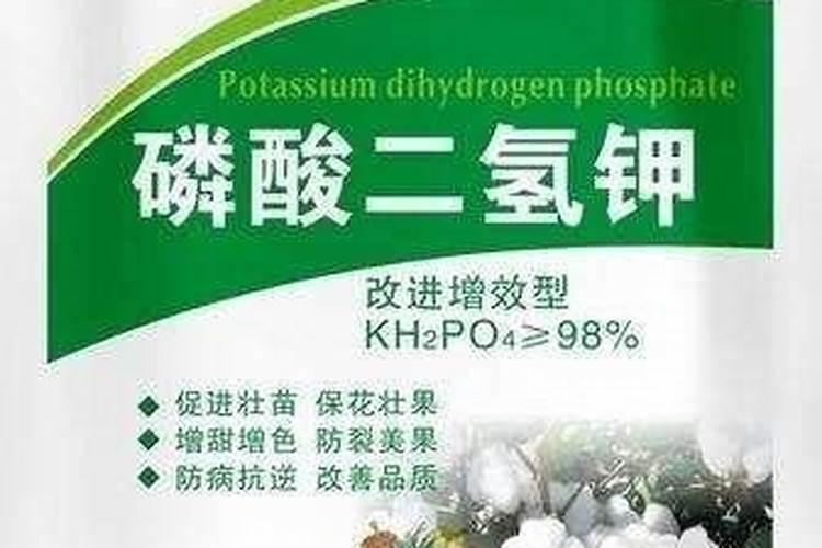 磷酸二氢钾什么时期喷施效果最好