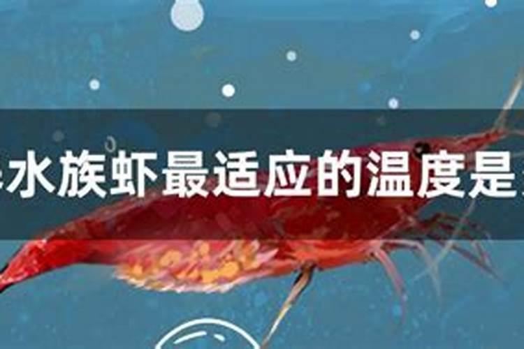 甘蔗灌根虫药用什么药最好