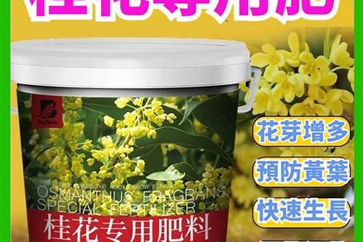 马铃薯肥料用量多少为宜 如何把握马铃薯肥料的用量