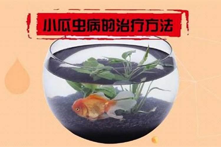 秋葵用什么肥料追肥最好