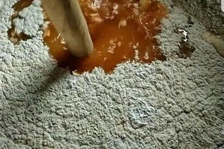 油菜籽种植时间和方法