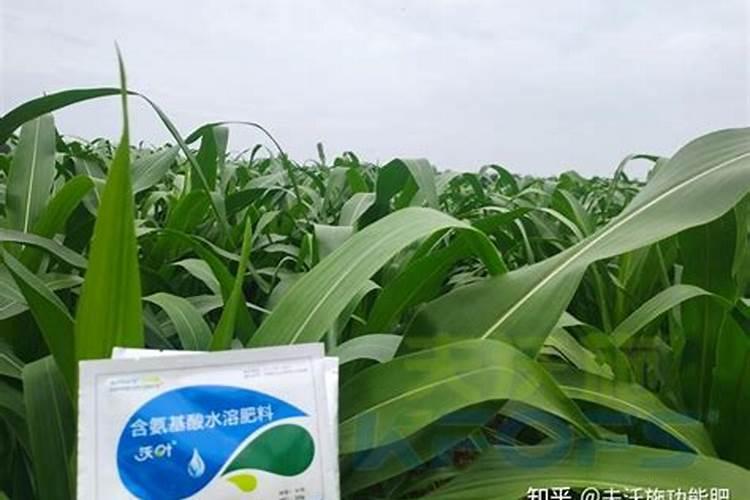 荔枝保花保果专用药
