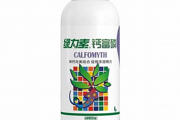 怎么把花养得又肥又大,室内养花施什么肥最好