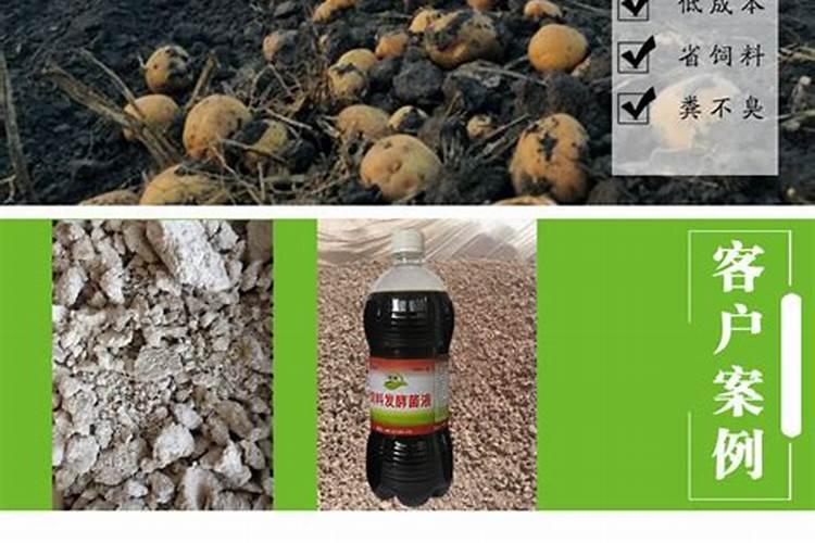 花生后期喷什么最饱满