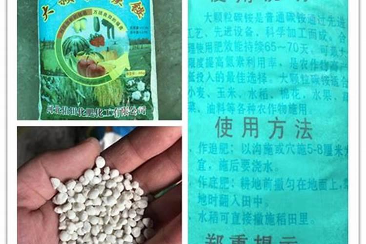 橘子是碱性食物吗