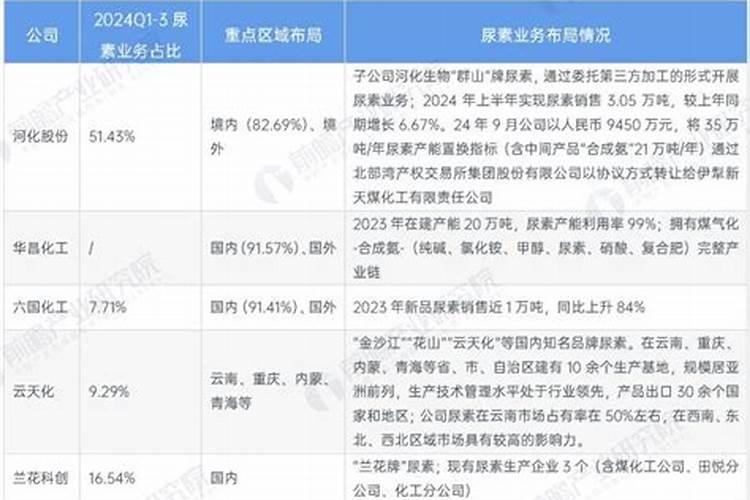 中国最大氮肥上市公司