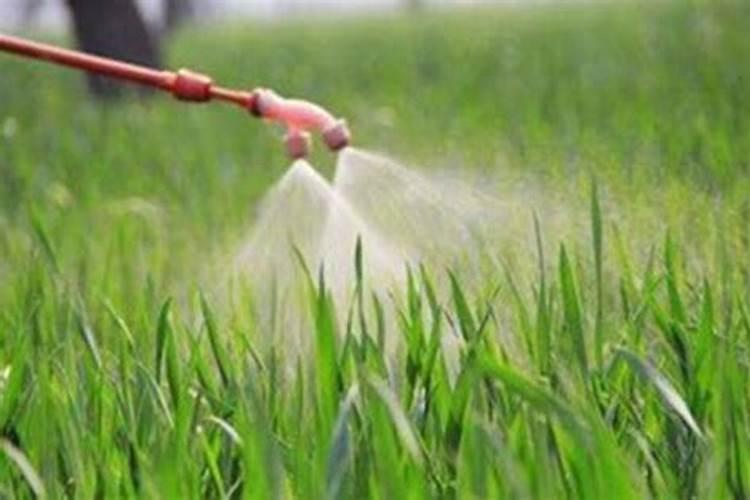 镁肥可以和钾肥一起施用吗