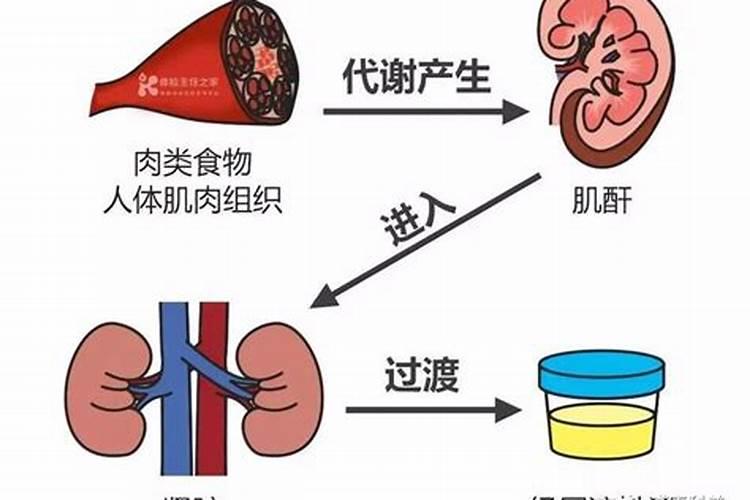 氮肥可以用尿代替吗
