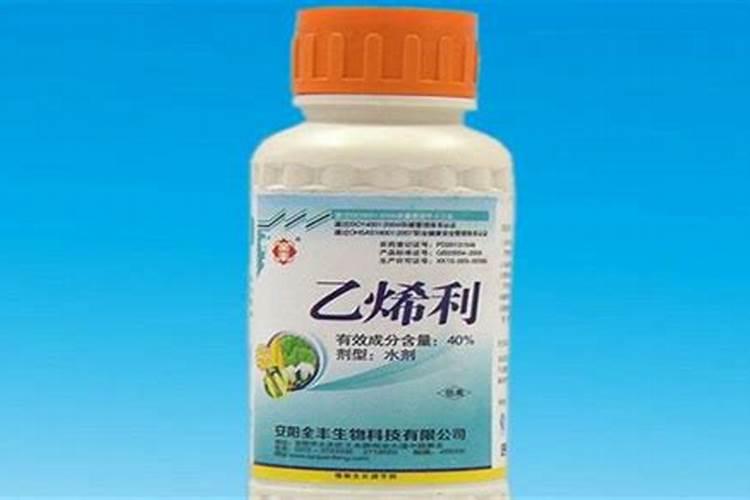 芥菜多久浇一次水