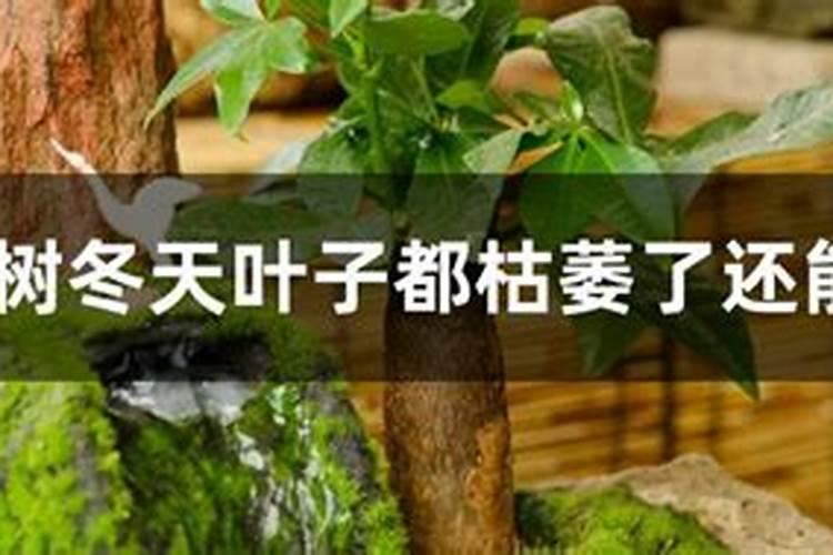 氮、磷、钾三种化肥的区别方法