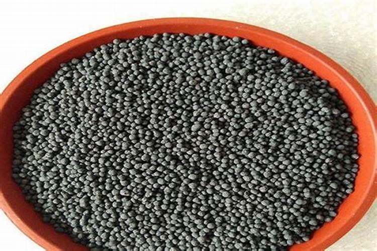 养护茶花期间,什么时候才能喷施磷酸二氢钾？