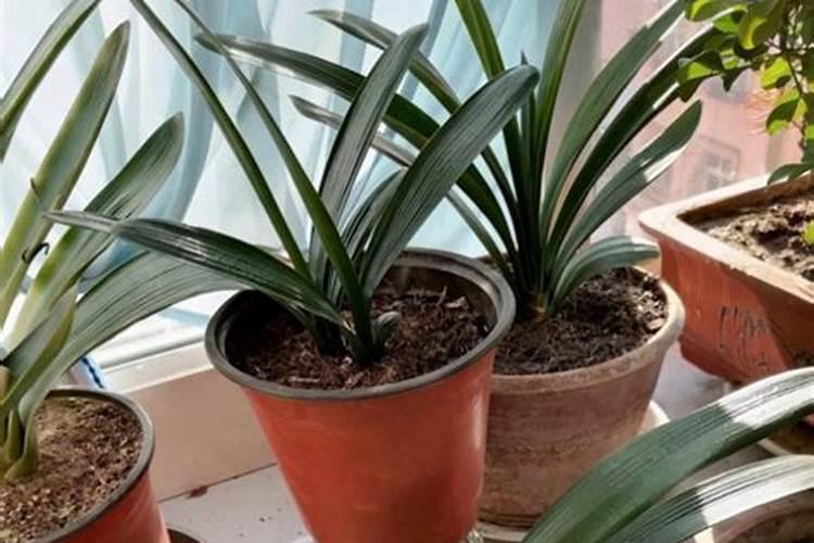 如何自制减压水晶泥？