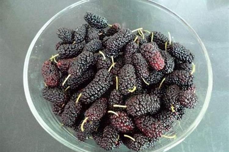 移栽树苗多久长根 树苗移栽后多久生根