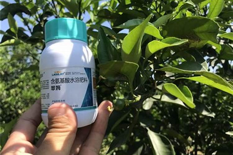 使用丰甜宝颗粒水溶肥有哪些好处？