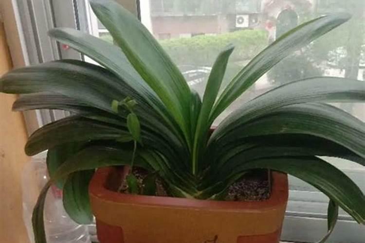 院塘养鱼要注意什么