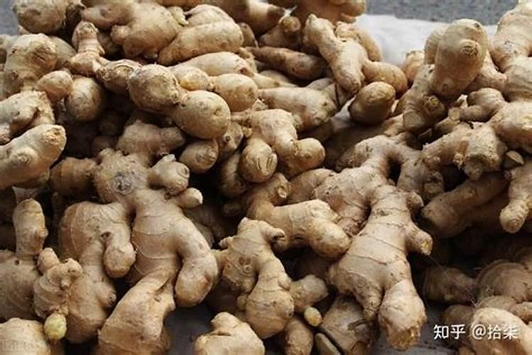 秋季长豆角刚开始摘浇水用什么肥好