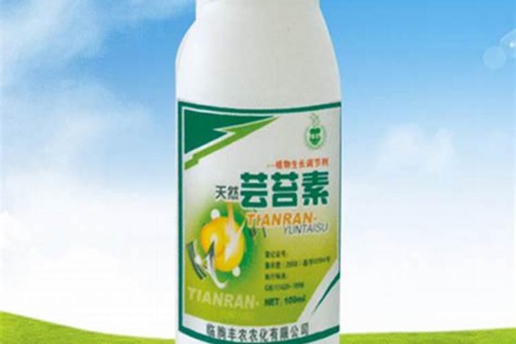 豆角小苗发黄打什么叶面肥