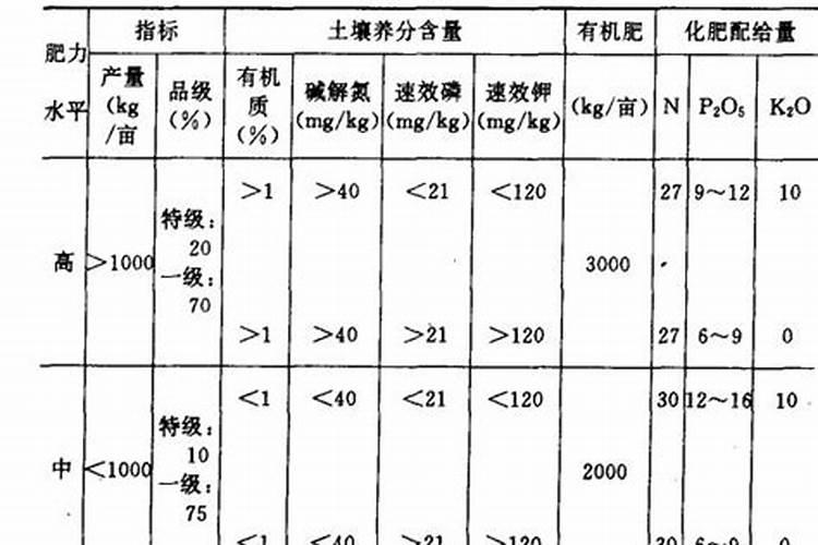 大蒜出苗后施什么肥料