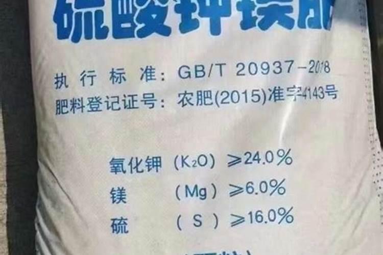 郁金香叶子的作用(郁金香叶子,隐藏的宝物,养花人的秘密武器)