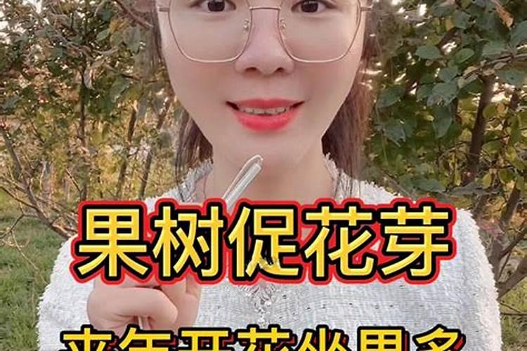 樱桃树施什么肥最好