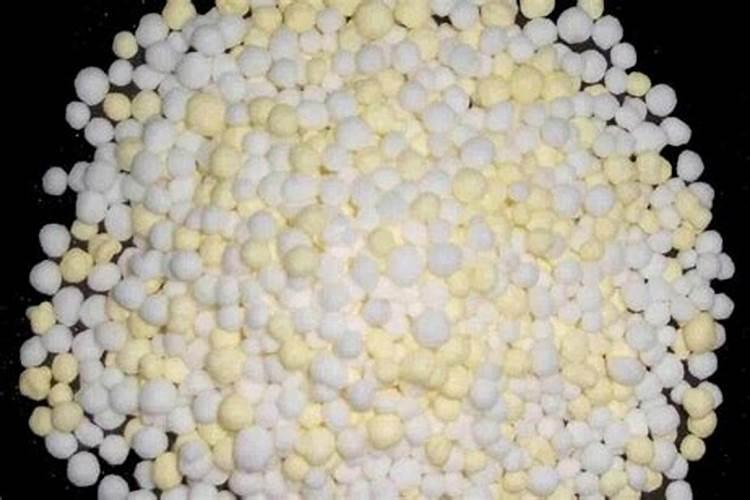 生菜移栽的方法