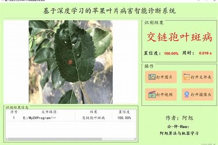 月季花冬季怎么施肥