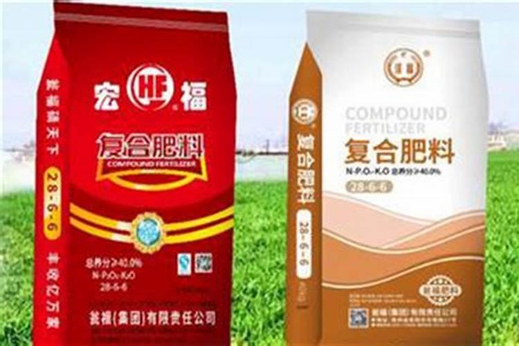养水仙花用什么肥料