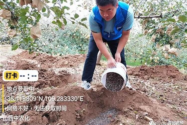 果树能用氯化钾肥料吗 有哪些优缺点