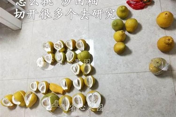 中国最好的水稻专用肥