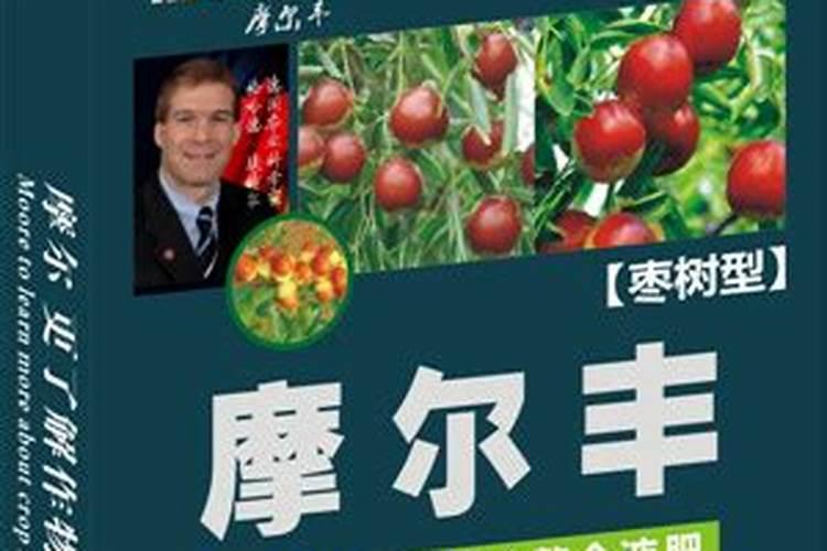 磷酸二氢钾肥料作用是什么 磷酸二氢钾肥料对植物的作用