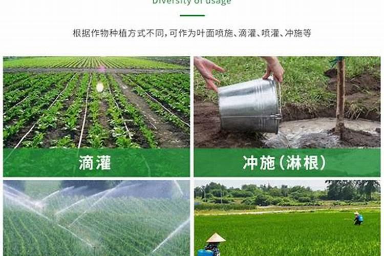 怎样才能做农资代理商