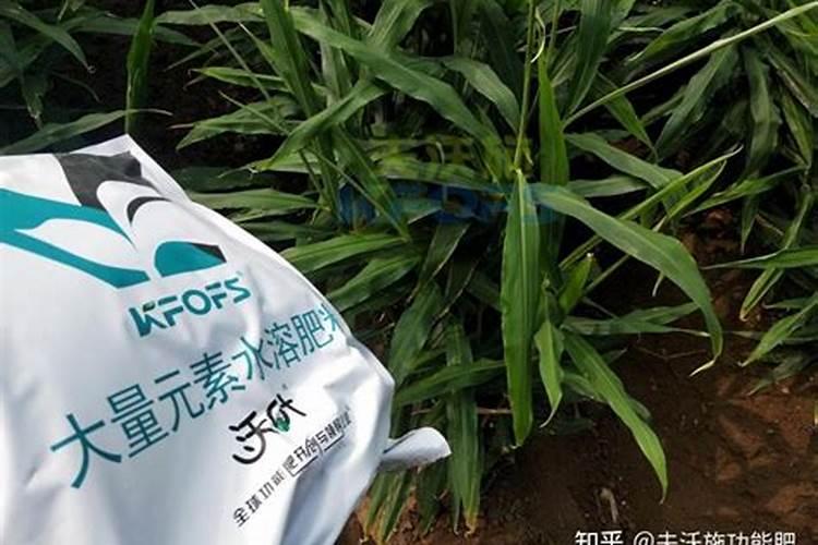 尿素叶面肥如何兑水