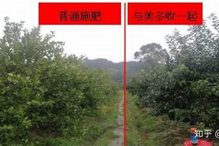 磷酸二氢钾叶面肥喷洒的用量