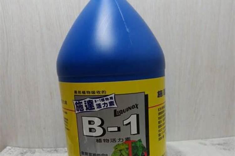 无花果树什么时候扦插最好成活率高