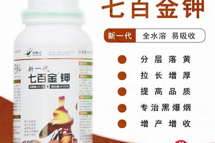 小麦倒了还能站吗,会影响产量吗