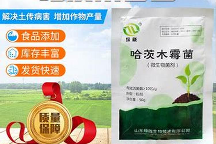 氯化铵作为氮肥使用时不能与什么混合使用？