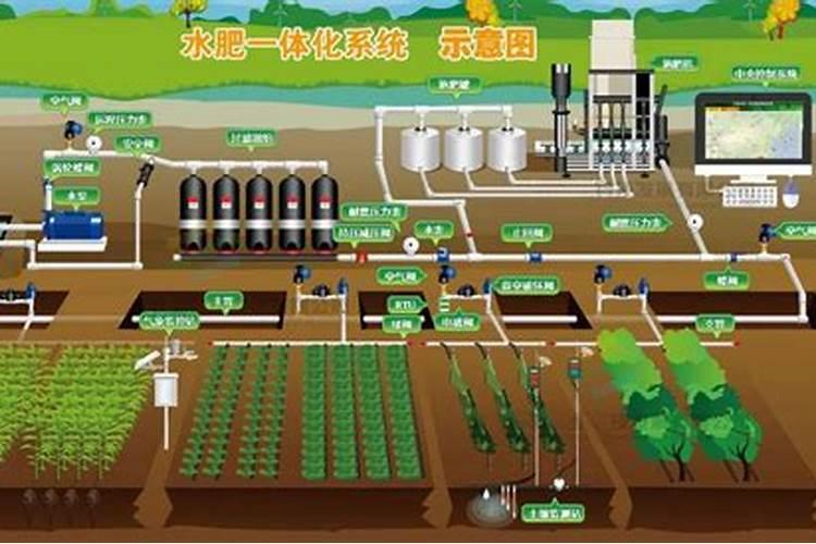 花卉养殖能不能上化肥