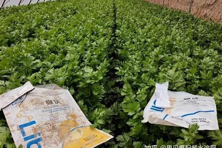 芹菜生长后期施什么肥料