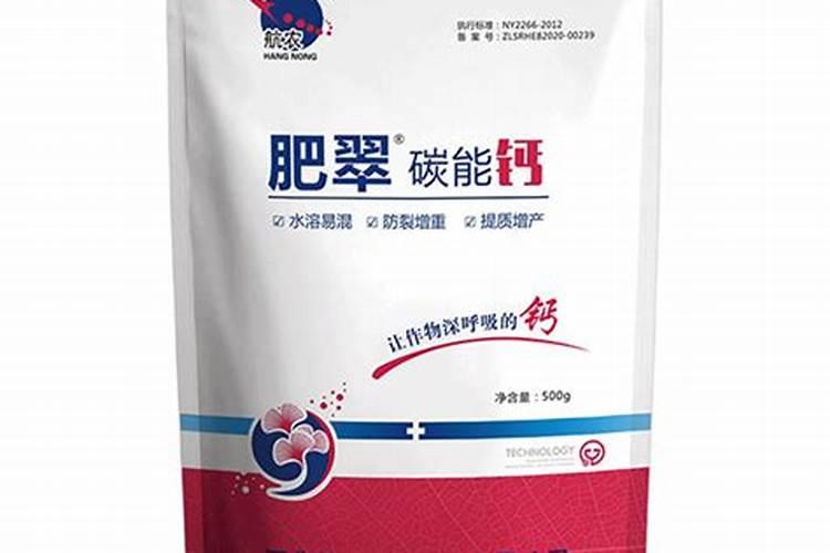 不管是种黄瓜还是西红柿都要做好什么？