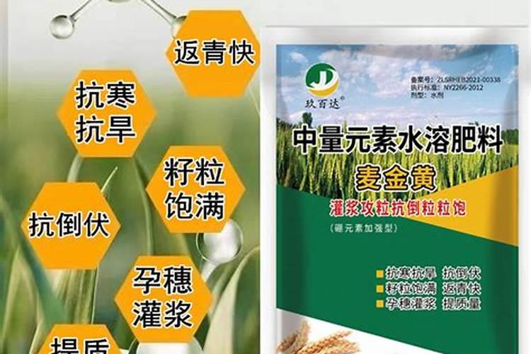 油菜专用复合肥多少钱一包花卉百科