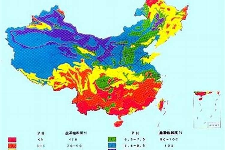 冬季移栽果树苗之后该如何进行浇水操作