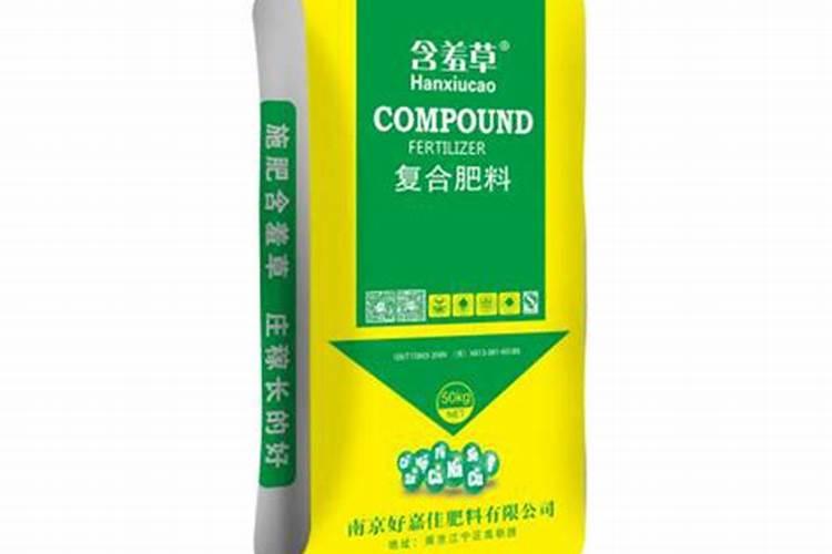 盆栽含羞草的养殖方法和注意事项